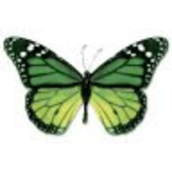 Meet your Posher, Nichole - Picture 1 of 1